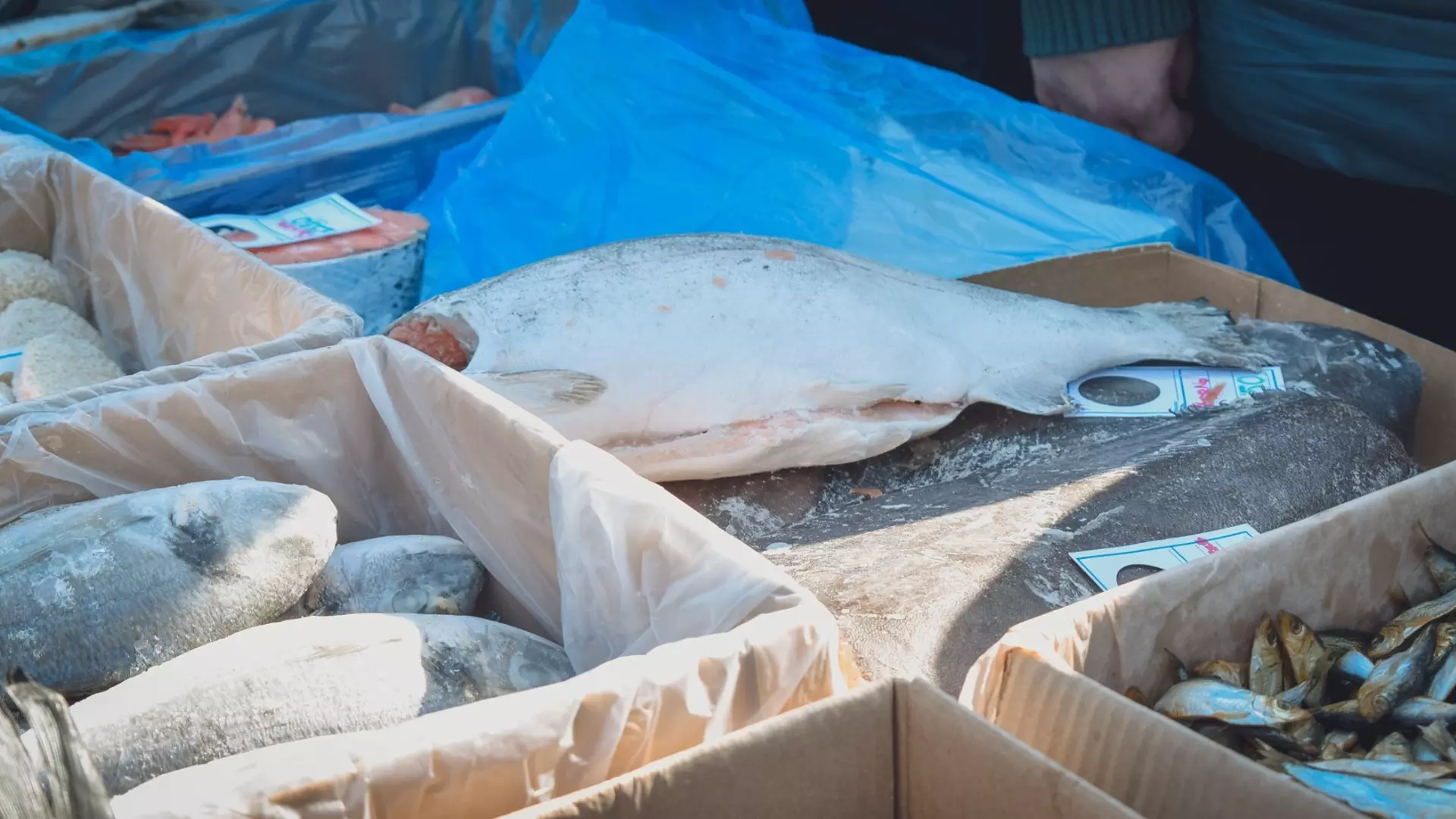 В Тюменской области из оборота изъяли 143 тонны немаркированной рыбы